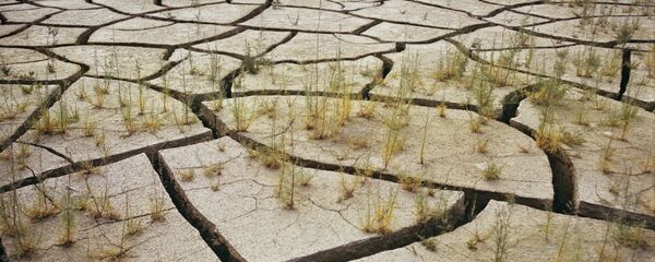 聯合國:到2030年全球變暖可能消耗世界經濟的2萬億美元 聯合國:到2030年全球變暖可能消耗世界經濟的2萬億美元 - 俄羅斯衛星通訊社