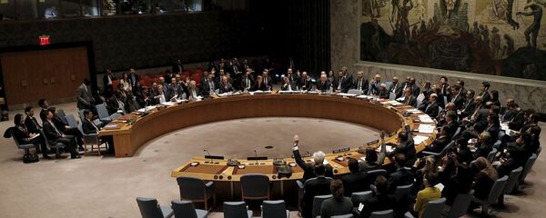 联合国安理会 - 俄罗斯卫星通讯社