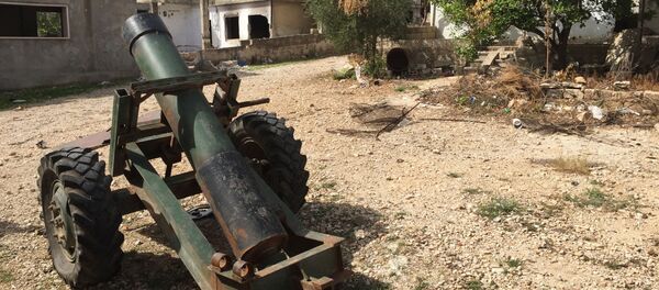 消息人士：敘政府軍擊退“伊斯蘭國”對Akareb的猛烈進攻 - 俄羅斯衛星通訊社