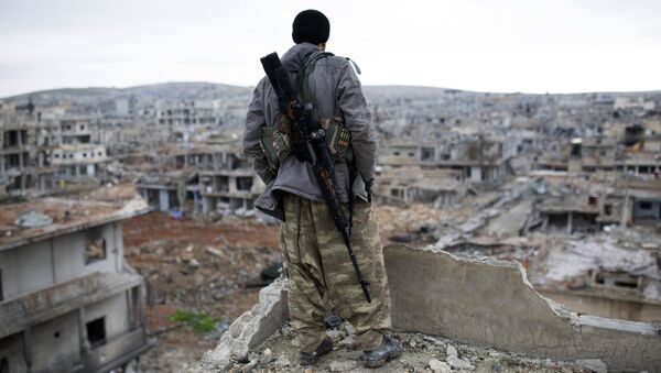 消息人士：叙利亚库尔德人将在6个月内制定联邦制文件 - 俄罗斯卫星通讯社