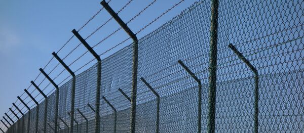 英國通過老鼠屍體向監獄傳遞毒品 - 俄羅斯衛星通訊社