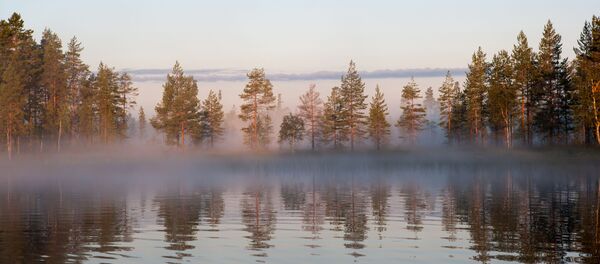 俄罗斯卡累利阿企业今年将向中国供应150万美元的水产品 - 俄罗斯卫星通讯社