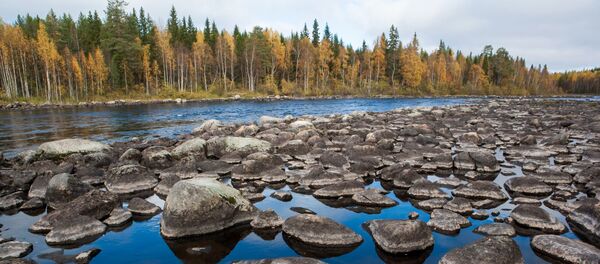 俄卡累利阿 - 俄羅斯衛星通訊社