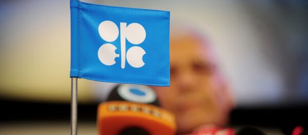 歐佩克欲加強與俄羅斯等非成員國的合作 歐佩克欲加強與俄羅斯等非成員國的合作 - 俄羅斯衛星通訊社