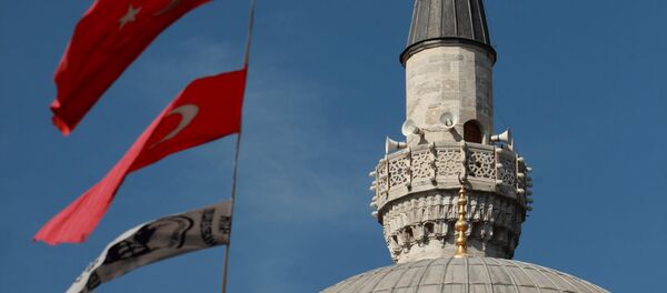 專家：與土耳其簽訂的移民協議違反國際法 - 俄羅斯衛星通訊社