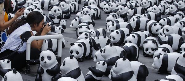 为保护野生大熊猫及其栖息地，法国于2008年启动一项名为“1600只大熊猫”的艺术计划。 - 俄罗斯卫星通讯社