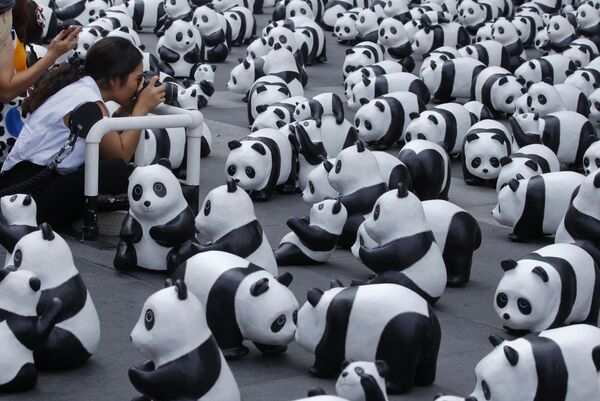 为保护野生大熊猫及其栖息地，法国于2008年启动一项名为“1600只大熊猫”的艺术计划。 - 俄罗斯卫星通讯社