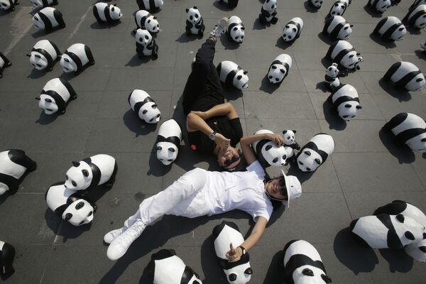 为保护野生大熊猫及其栖息地，法国于2008年启动一项名为“1600只大熊猫”的艺术计划。 - 俄罗斯卫星通讯社