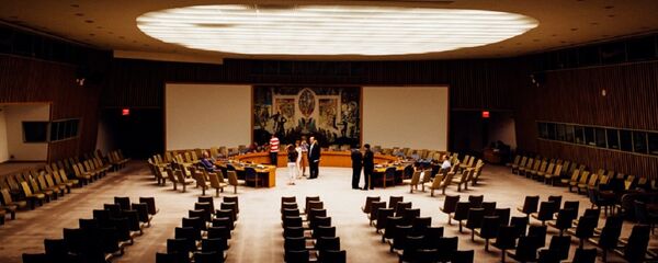 联合国安理会 - 俄罗斯卫星通讯社