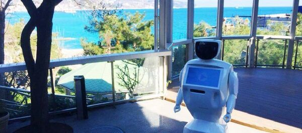 俄羅斯機器人 俄羅斯機器人 - 俄羅斯衛星通訊社