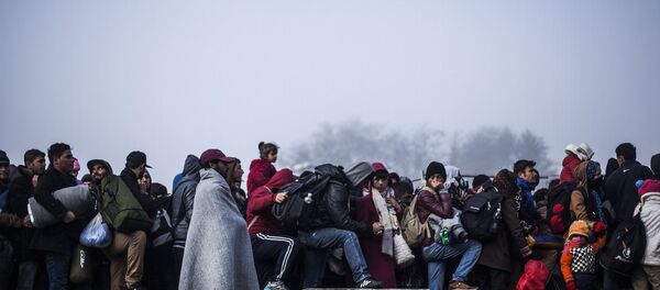 因移民危机,奥地利欲建在边境设置新障碍物 因移民危机,奥地利欲建在边境设置新障碍物 - 俄罗斯卫星通讯社