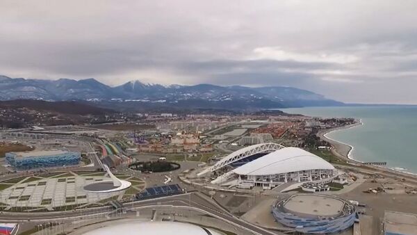 鸟瞰索契 - 俄罗斯卫星通讯社