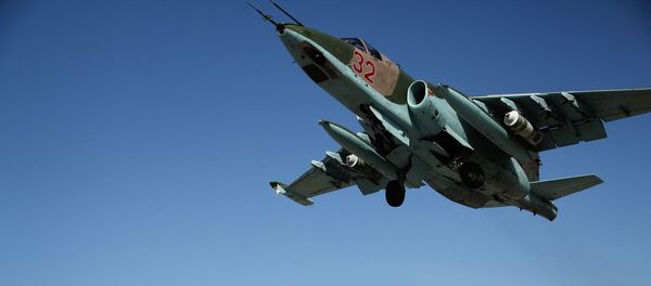 俄防長：俄空天軍行動扭轉局勢使其有利於敘政府 - 俄羅斯衛星通訊社