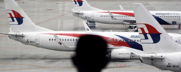 专家对留尼汪岛发现碎片属于MH370的说法表示怀疑 专家对留尼汪岛发现碎片属于MH370的说法表示怀疑 - 俄罗斯卫星通讯社