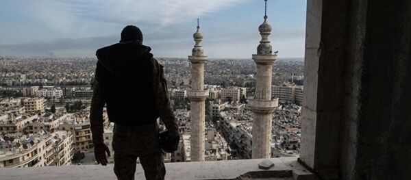 俄總統新聞秘書：美國願推動敘利亞和解令俄滿意 - 俄羅斯衛星通訊社