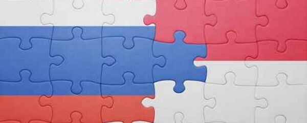 媒體：俄羅斯與印尼雙邊貿易額3年後將增長3-4倍 - 俄羅斯衛星通訊社