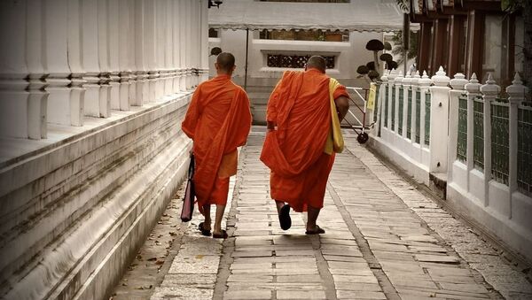 研究：泰国近一半佛教僧侣发胖 - 俄罗斯卫星通讯社