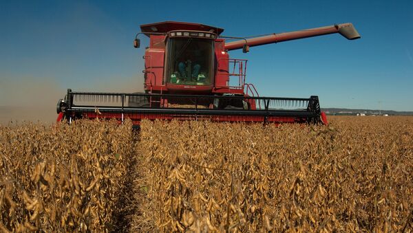 俄專家：中國放棄美國大豆是俄遠東地區發展農工產業的良機 - 俄羅斯衛星通訊社
