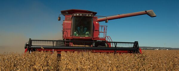 俄专家:中国放弃美国大豆是俄远东地区发展农工产业的良机 俄专家:中国放弃美国大豆是俄远东地区发展农工产业的良机 - 俄罗斯卫星通讯社