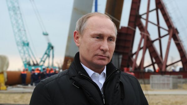 普京认为刻赤大桥将成为俄罗斯与克里米亚统一的一个标志 - 俄罗斯卫星通讯社