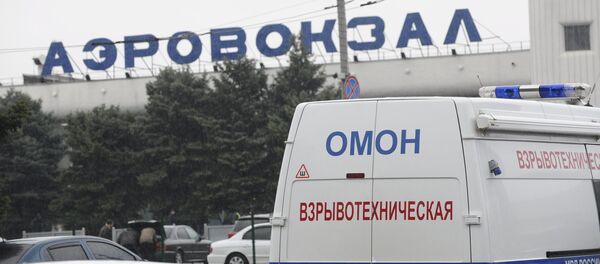 媒體：迪拜失事客機升降舵或被凍住 - 俄羅斯衛星通訊社