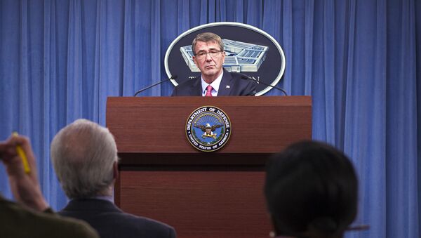美国防部长：美国希望与亚太国家开展协作以遏制俄罗斯 - 俄罗斯卫星通讯社
