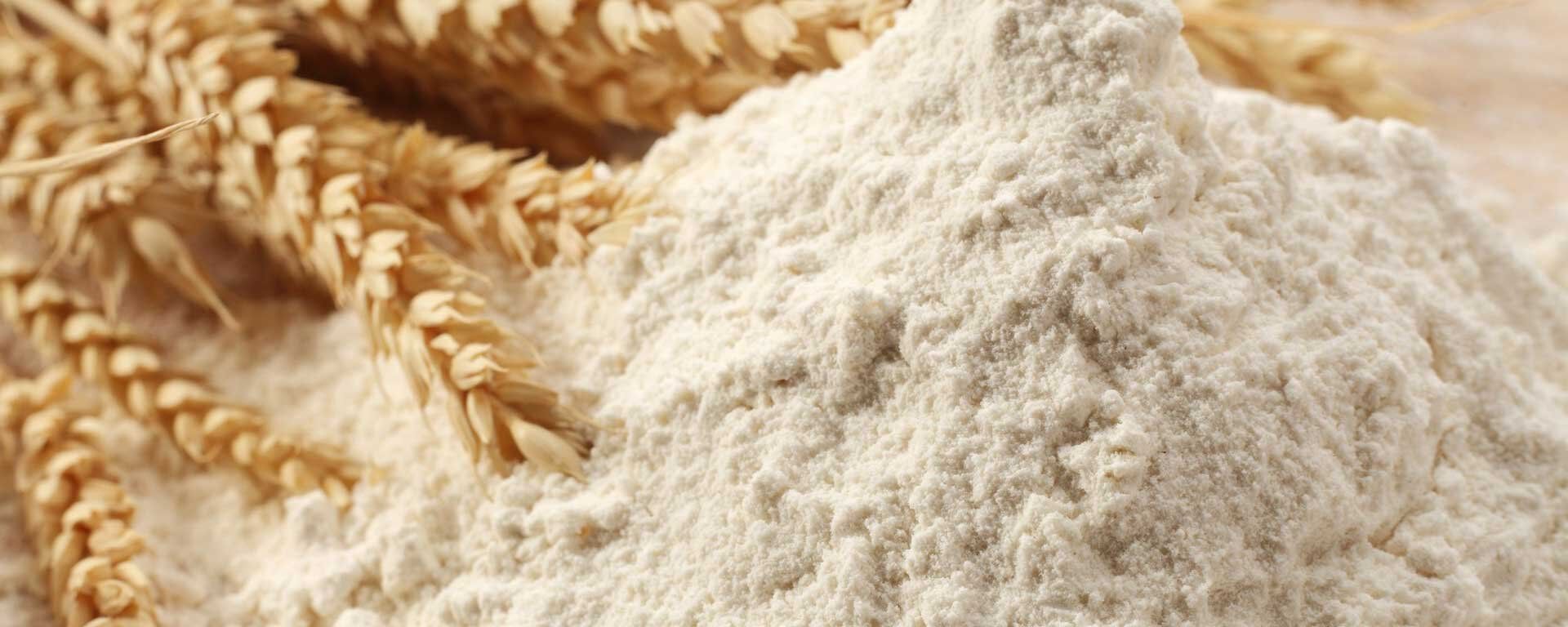俄羅斯農業出口中心：中國將成為俄羅斯麵粉的主要出口方向 - 俄羅斯衛星通訊社, 1920, 10.01.2023