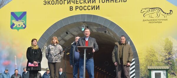 濱海邊疆區公路隧道貫通 便於駕車者和遠東豹通行 - 俄羅斯衛星通訊社