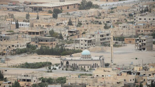叙利亚政府军证实叙俄两国空军支援下已经解放巴尔米拉 - 俄罗斯卫星通讯社