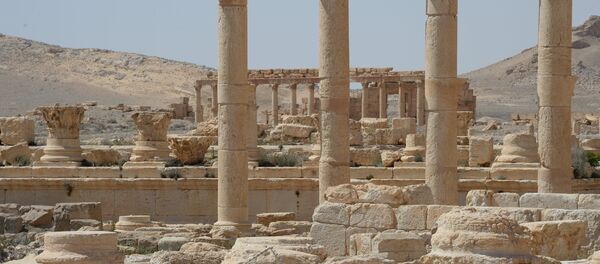 普京祝贺叙利亚总统收复巴尔米拉 - 俄罗斯卫星通讯社