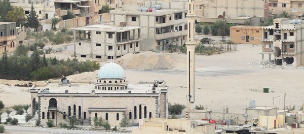 俄驻叙利亚冲突调解中心: 俄空天军没有对巴尔米拉居住区进行打击 - 俄罗斯卫星通讯社