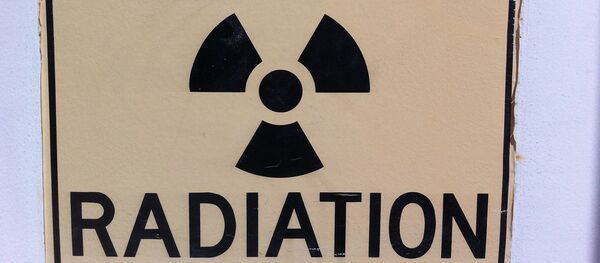 德国发现放射性金属 或证明希特勒拥有秘密核弹研发中心 - 俄罗斯卫星通讯社