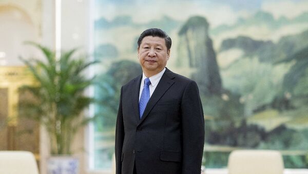 中国国家主席向普京致新年贺电 表达携手努力意愿 - 俄罗斯卫星通讯社