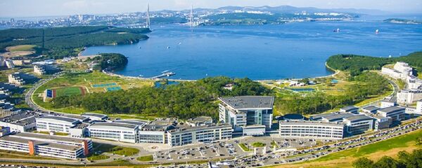 俄远东联邦大学科学家正开发用于航空航天技术领域的独一无二材料 - 俄罗斯卫星通讯社