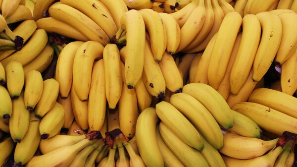 香蕉面臨消失的危險 - 俄羅斯衛星通訊社