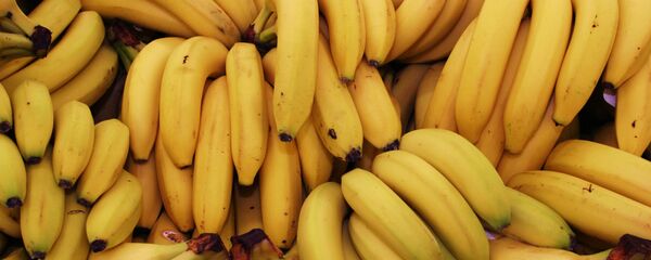 捐赠给德克萨斯州囚犯的香蕉中藏有价值1800万美元的可卡因 - 俄罗斯卫星通讯社