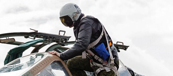 俄防长：俄叙军方18日10时起停止在阿勒颇地区的空中打击 - 俄罗斯卫星通讯社