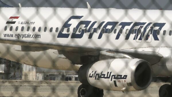 目擊者：埃及航空被劫客機起飛前未檢查乘客證件 - 俄羅斯衛星通訊社