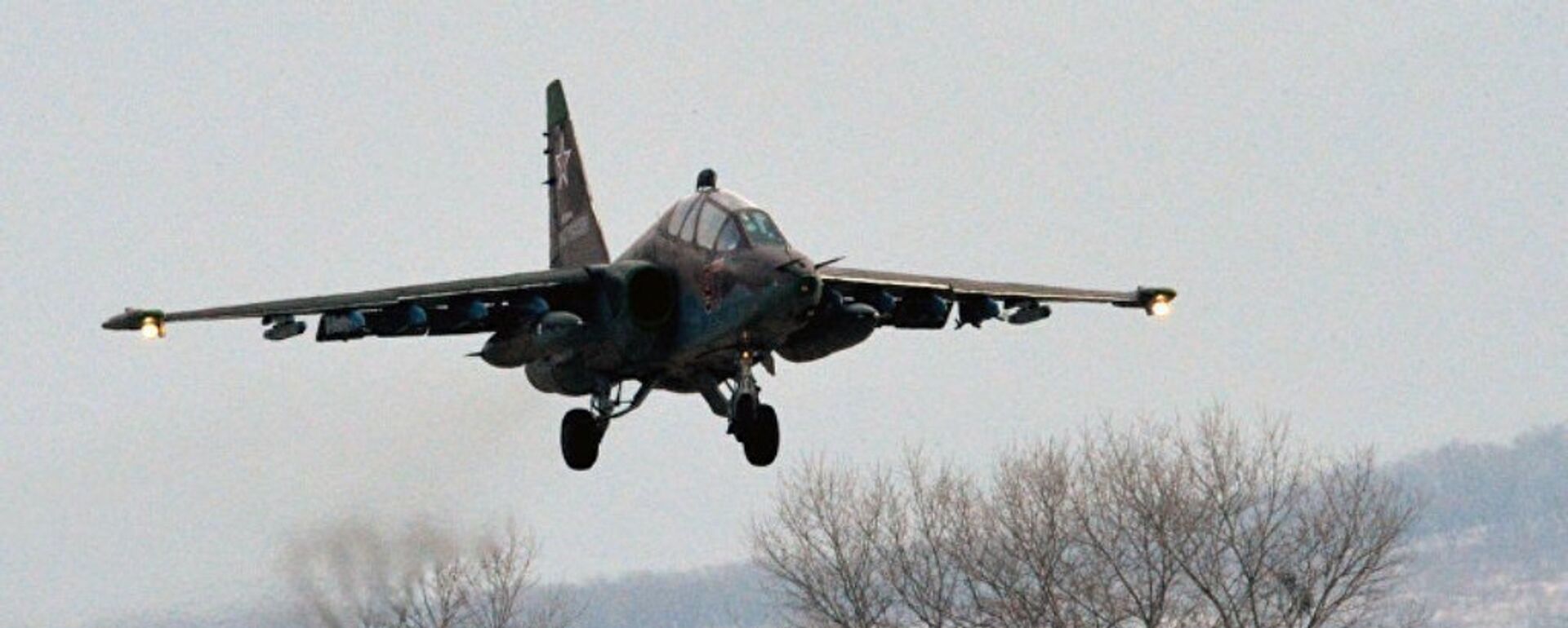 俄罗斯国防部：苏-25飞行员在打击乌军时于极低高度做出高级特技动作 - 俄罗斯卫星通讯社, 1920, 08.02.2024