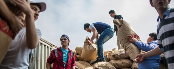俄國防部：俄羅斯已向敘平民運送約10噸人道主義救援物資 - 俄羅斯衛星通訊社