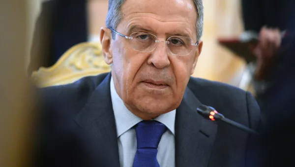 Министр иностранных дел РФ Сергей Лавров во время встречи в Москве с министром иностранных дел Египта Самехом Шукри - 俄羅斯衛星通訊社