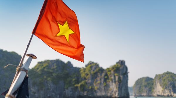 越南国旗 - 俄罗斯卫星通讯社