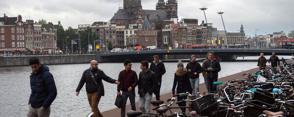 民调：三分之一荷兰民众不希望乌克兰加入欧盟 - 俄罗斯卫星通讯社