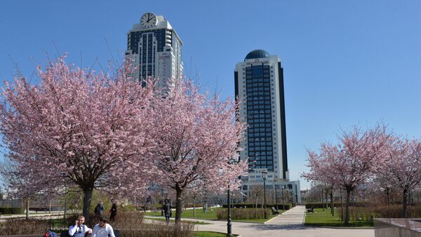 車臣領導人：車臣未因歐洲恐襲而加強境內安全措施 - 俄羅斯衛星通訊社