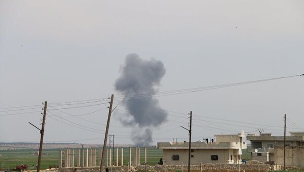 俄国防部：“伊斯兰国”二号人物在阿勒颇遭俄军空袭身亡 - 俄罗斯卫星通讯社