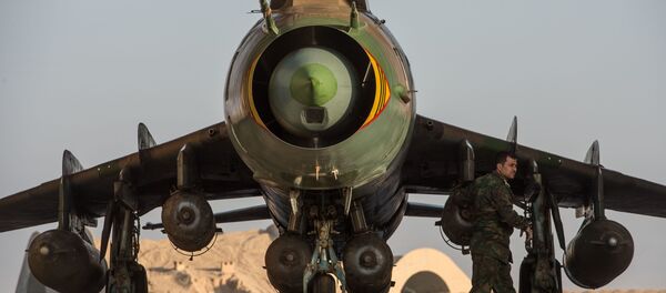 被擊落的敘戰機飛行員家屬:攻擊戰機的決定錯誤 被擊落的敘戰機飛行員家屬:攻擊戰機的決定錯誤 - 俄羅斯衛星通訊社