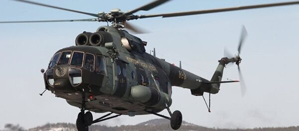 俄羅斯7月前完成向埃及供應“總統-S”機載防禦系統 - 俄羅斯衛星通訊社