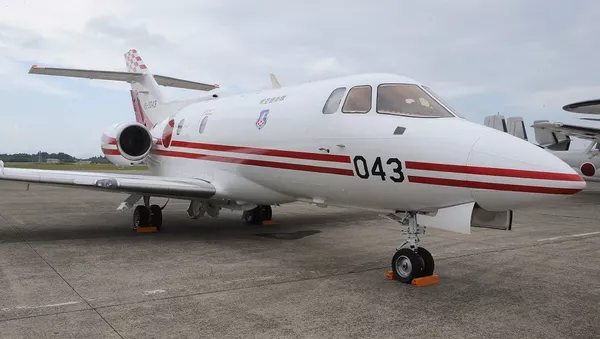 媒體：日本自衛隊因天氣原因將搜救失聯飛機的工作推遲 - 俄羅斯衛星通訊社
