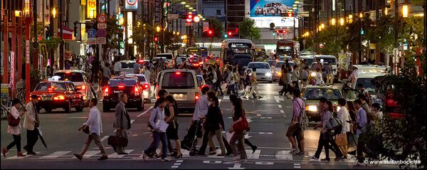 民调：半数日本人反对与俄罗斯加强经济合作 - 俄罗斯卫星通讯社