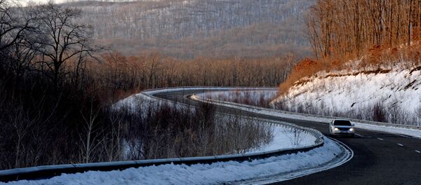 俄罗斯“豹之乡”国家公园首次向游客开放朝鲜古居 - 俄罗斯卫星通讯社